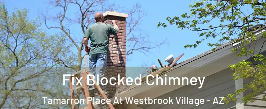 Fix Blocked Chimney Tamarron Place At Westbrook Village - AZ