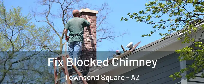 Fix Blocked Chimney Townsend Square - AZ