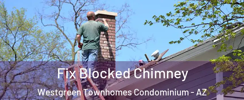 Fix Blocked Chimney Westgreen Townhomes Condominium - AZ