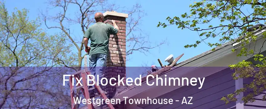 Fix Blocked Chimney Westgreen Townhouse - AZ