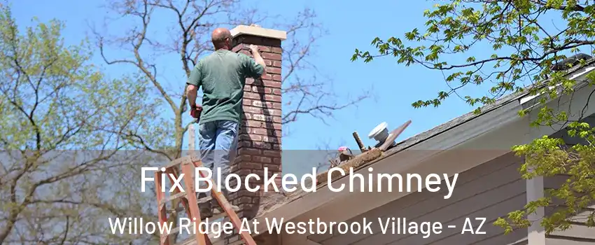 Fix Blocked Chimney Willow Ridge At Westbrook Village - AZ