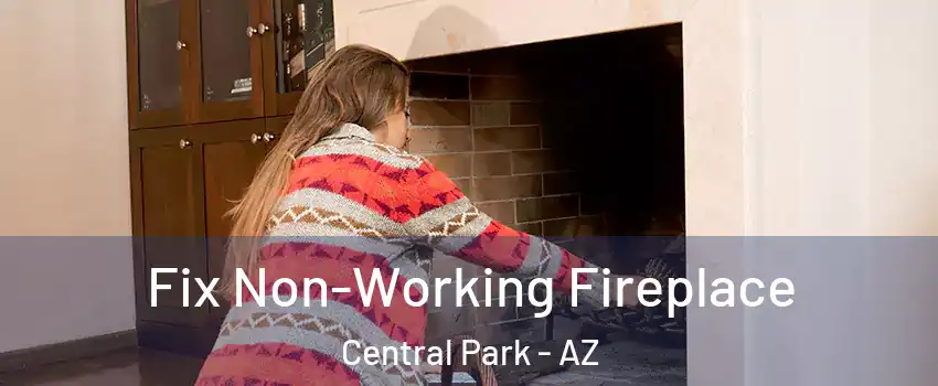 Fix Non-Working Fireplace Central Park - AZ
