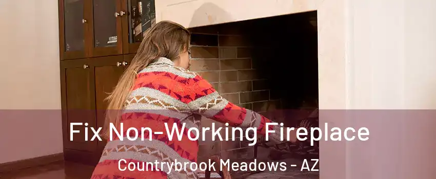 Fix Non-Working Fireplace Countrybrook Meadows - AZ