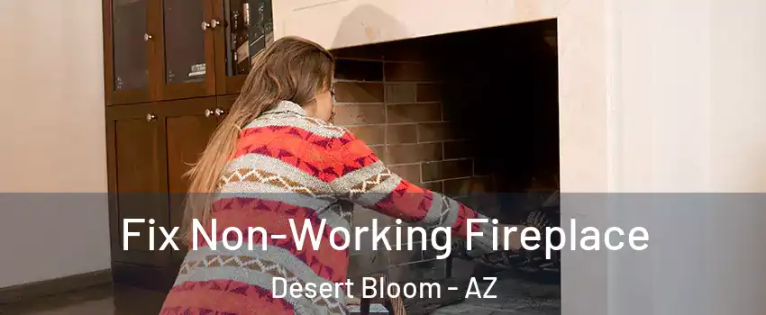Fix Non-Working Fireplace Desert Bloom - AZ