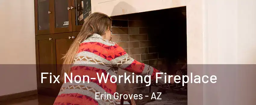 Fix Non-Working Fireplace Erin Groves - AZ
