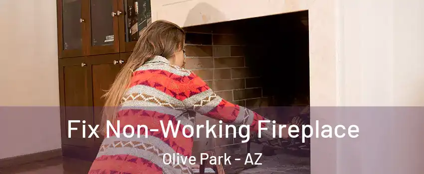 Fix Non-Working Fireplace Olive Park - AZ