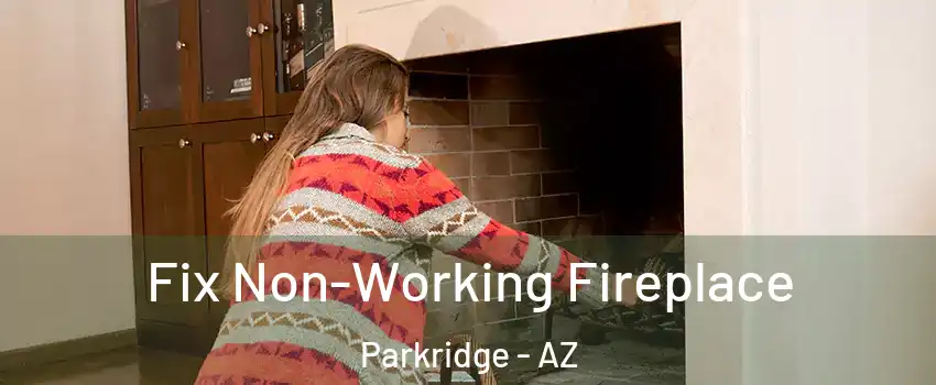 Fix Non-Working Fireplace Parkridge - AZ