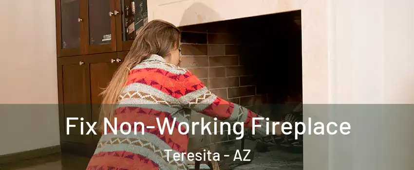 Fix Non-Working Fireplace Teresita - AZ