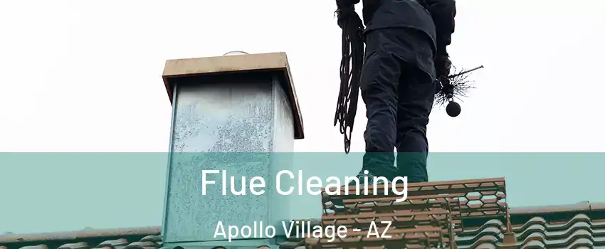 Flue Cleaning Apollo Village - AZ