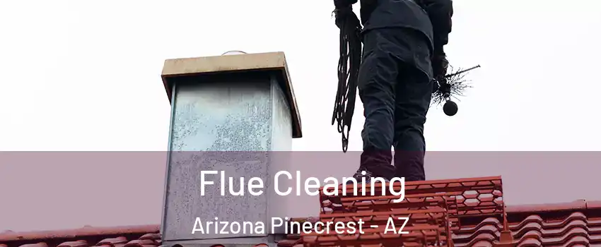 Flue Cleaning Arizona Pinecrest - AZ