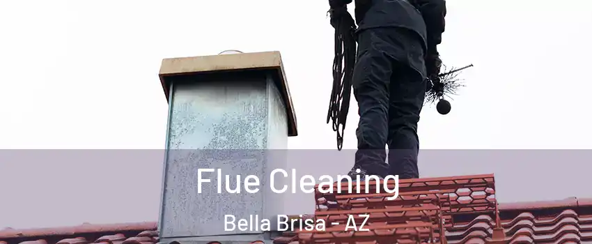 Flue Cleaning Bella Brisa - AZ
