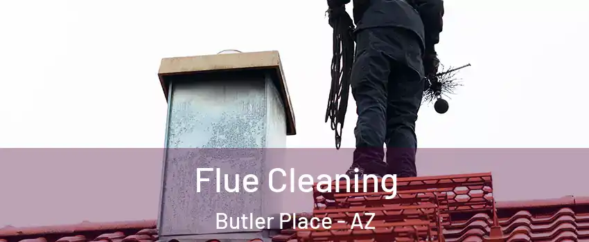 Flue Cleaning Butler Place - AZ