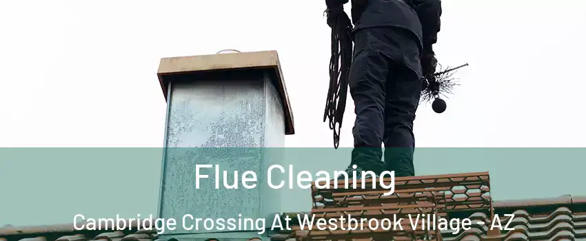 Flue Cleaning Cambridge Crossing At Westbrook Village - AZ