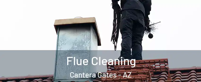 Flue Cleaning Cantera Gates - AZ