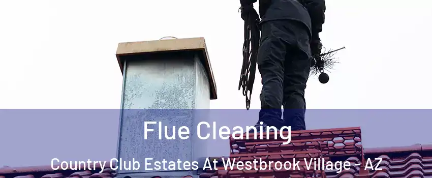 Flue Cleaning Country Club Estates At Westbrook Village - AZ