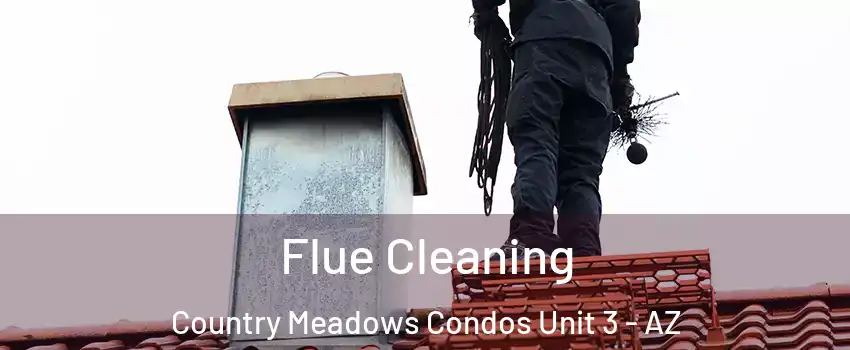 Flue Cleaning Country Meadows Condos Unit 3 - AZ