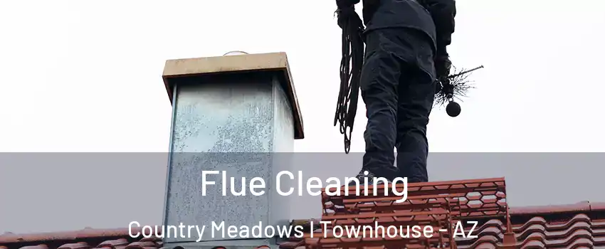 Flue Cleaning Country Meadows I Townhouse - AZ