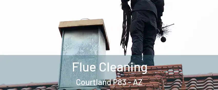 Flue Cleaning Courtland P83 - AZ