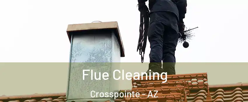 Flue Cleaning Crosspointe - AZ