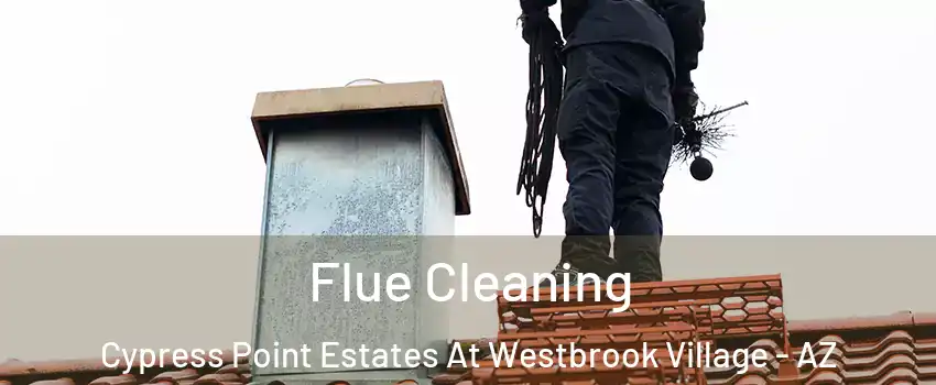Flue Cleaning Cypress Point Estates At Westbrook Village - AZ