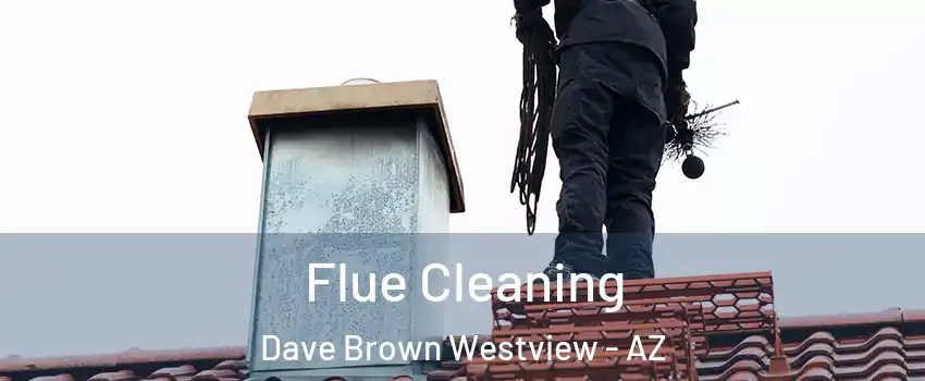 Flue Cleaning Dave Brown Westview - AZ