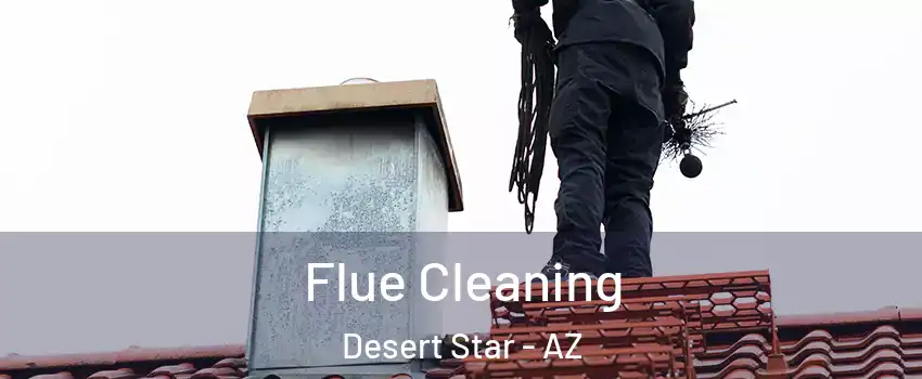 Flue Cleaning Desert Star - AZ
