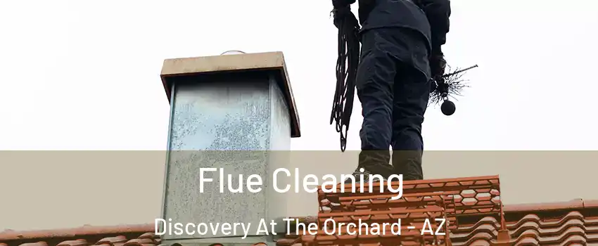 Flue Cleaning Discovery At The Orchard - AZ