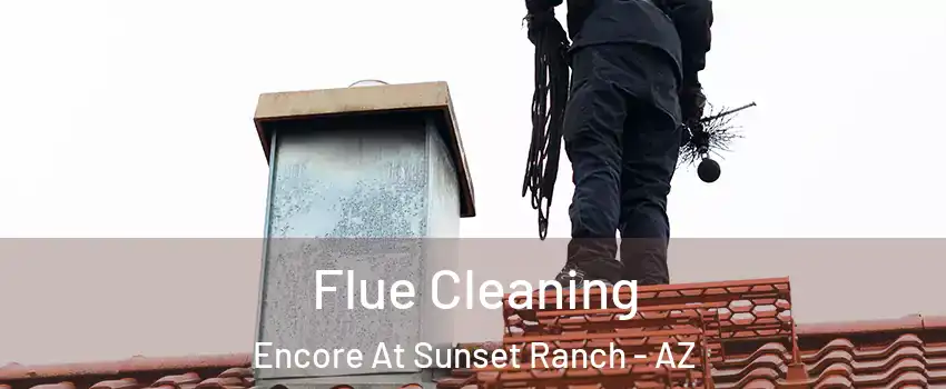 Flue Cleaning Encore At Sunset Ranch - AZ