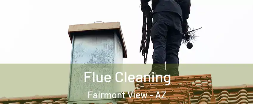 Flue Cleaning Fairmont View - AZ