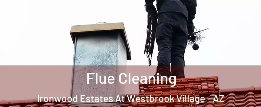 Flue Cleaning Ironwood Estates At Westbrook Village - AZ
