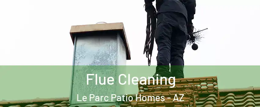 Flue Cleaning Le Parc Patio Homes - AZ