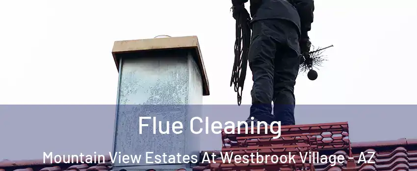 Flue Cleaning Mountain View Estates At Westbrook Village - AZ