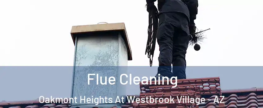 Flue Cleaning Oakmont Heights At Westbrook Village - AZ
