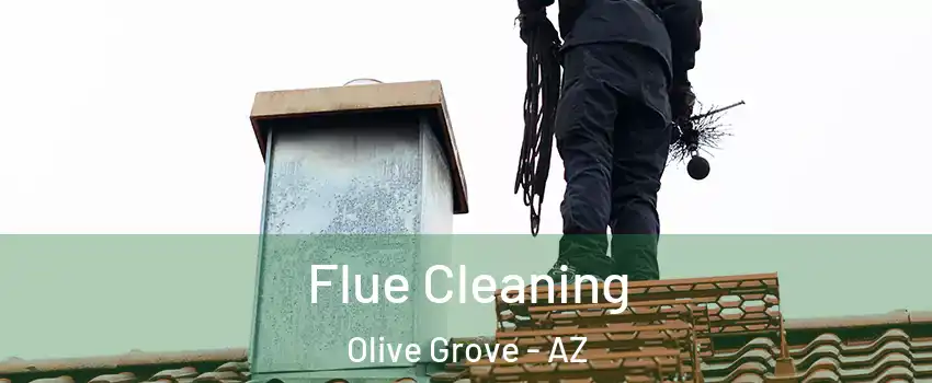 Flue Cleaning Olive Grove - AZ