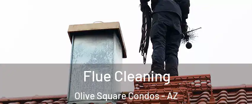 Flue Cleaning Olive Square Condos - AZ