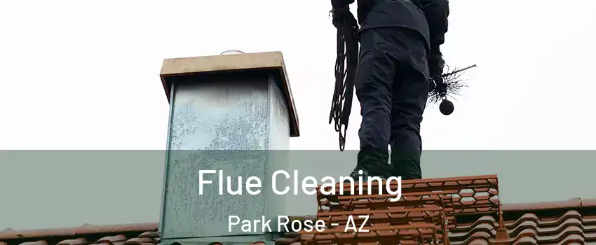 Flue Cleaning Park Rose - AZ