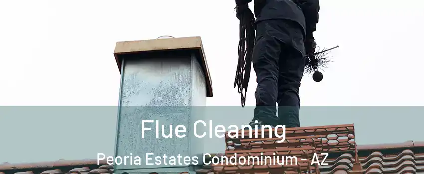 Flue Cleaning Peoria Estates Condominium - AZ