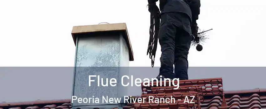 Flue Cleaning Peoria New River Ranch - AZ