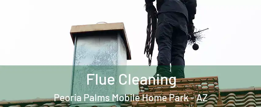 Flue Cleaning Peoria Palms Mobile Home Park - AZ