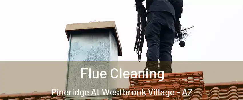 Flue Cleaning Pineridge At Westbrook Village - AZ