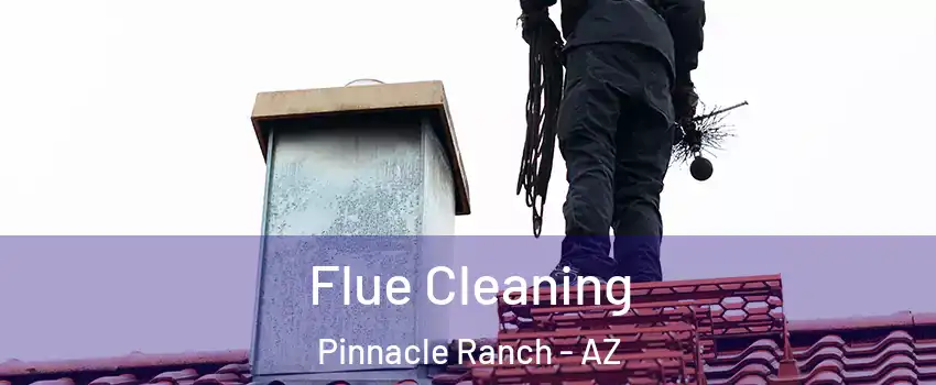 Flue Cleaning Pinnacle Ranch - AZ