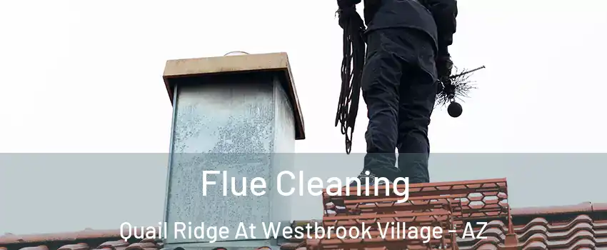 Flue Cleaning Quail Ridge At Westbrook Village - AZ