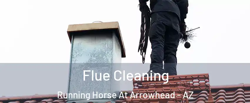 Flue Cleaning Running Horse At Arrowhead - AZ