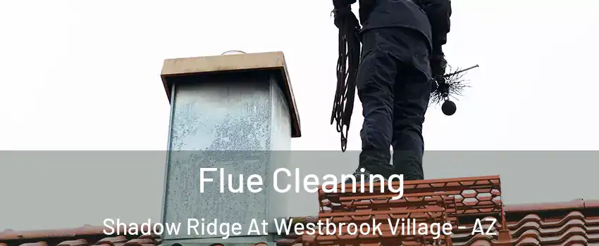 Flue Cleaning Shadow Ridge At Westbrook Village - AZ