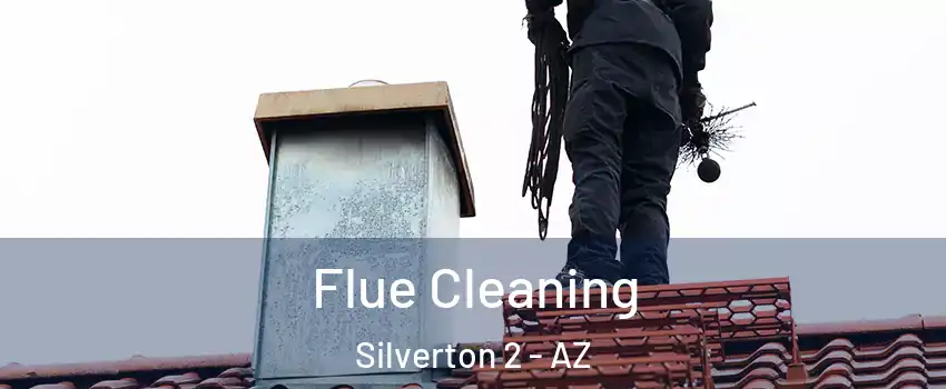 Flue Cleaning Silverton 2 - AZ