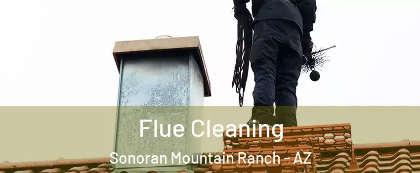 Flue Cleaning Sonoran Mountain Ranch - AZ