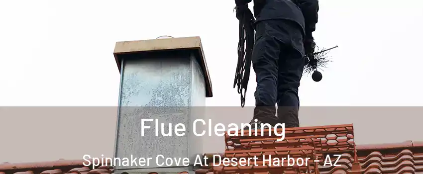 Flue Cleaning Spinnaker Cove At Desert Harbor - AZ