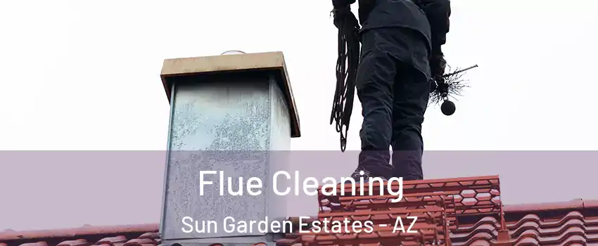 Flue Cleaning Sun Garden Estates - AZ