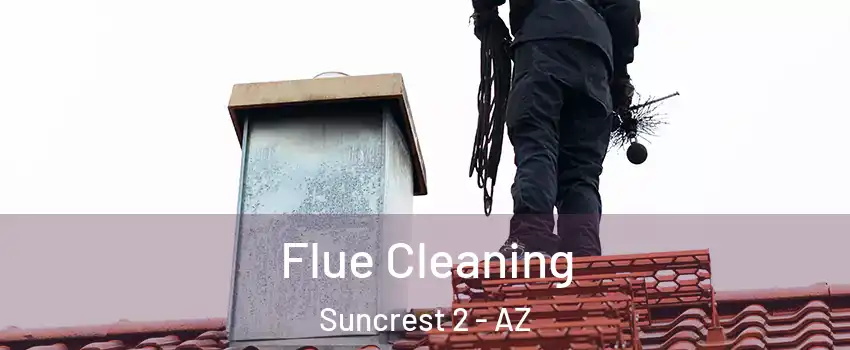 Flue Cleaning Suncrest 2 - AZ