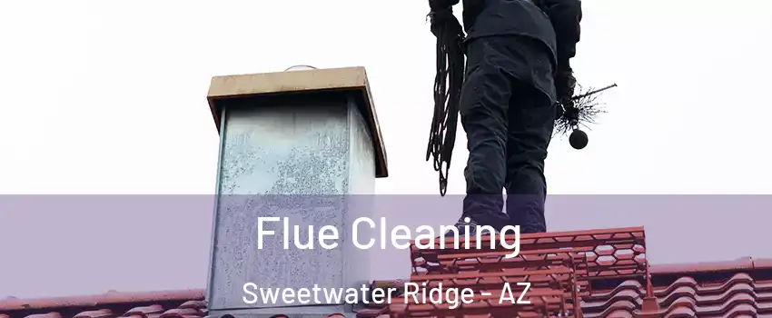 Flue Cleaning Sweetwater Ridge - AZ